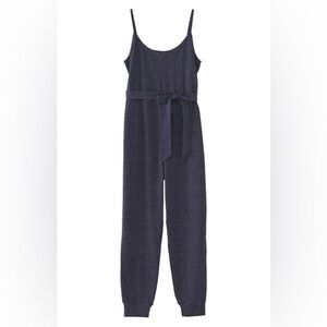 A Pea in The Pod Maternity Jumpsuit